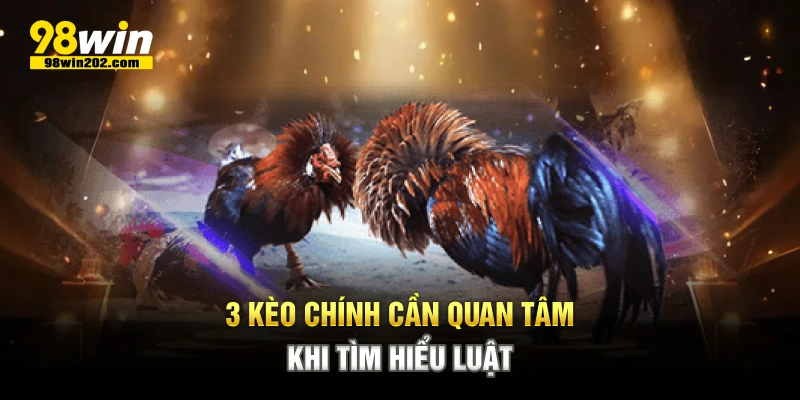 3 kèo chính cần quan tâm khi tìm hiểu luật
