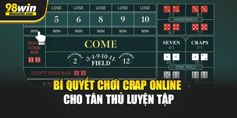 Bí quyết chơi Crap online cho tân thủ luyện tập