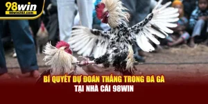 Bí Quyết Dự Đoán Thắng Trong Đá Gà Tại Nhà Cái 98Win