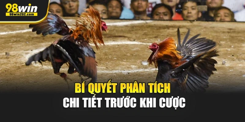 Bí quyết phân tích chi tiết trước khi cược