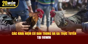 Các Khái Niệm Cơ Bản Trong Đá Gà Trực Tuyến Tại 98win