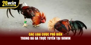 Các Loại Cược Phổ Biến Trong Đá Gà Trực Tuyến Tại 98win