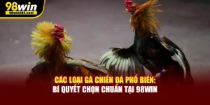 Các Loại Gà Chiến Đá Phổ Biến: Bí Quyết Chọn Chuẩn Tại 98Win