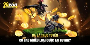 Đá Gà Trực Tuyến Có Bao Nhiêu Loại Cược Tại 98Win?