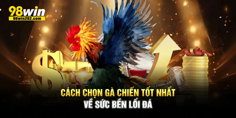 Cách chọn gà chiến tốt nhất về sức bền lối đá