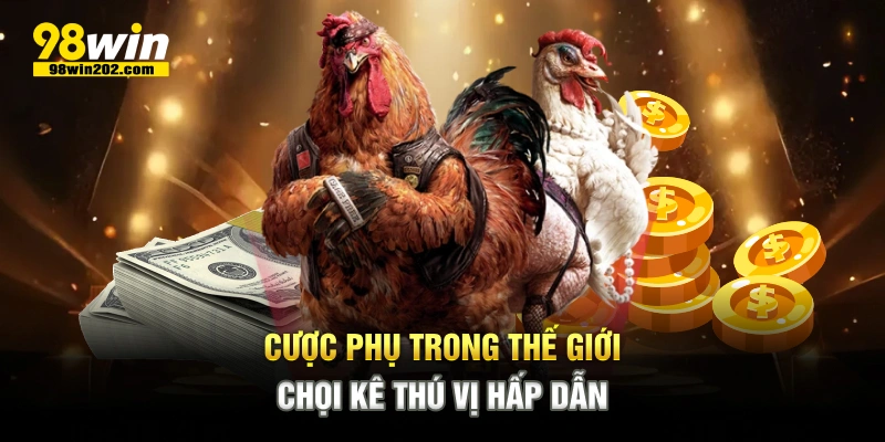 Cược phụ trong thế giới chọi kê thú vị hấp dẫn