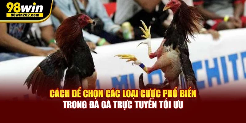 Cách để chọn các loại cược phổ biến trong đá gà trực tuyến tối ưu