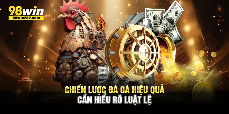 Chiến lược đá gà hiệu quả cần hiểu rõ luật lệ