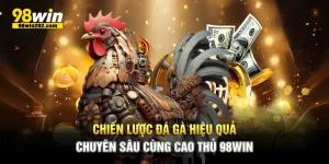 chiến lược đá gà hiệu quả