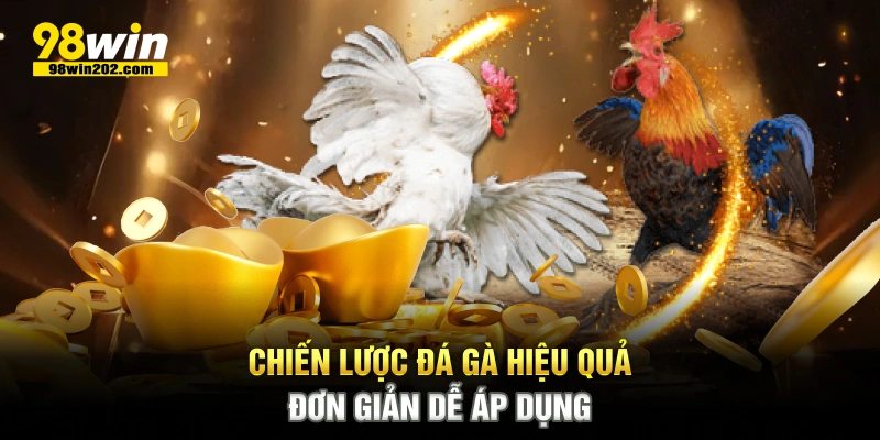 Chiến lược đá gà hiệu quả đơn giản dễ áp dụng