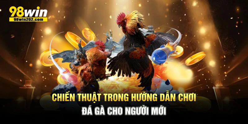 Chiến thuật trong hướng dẫn chơi đá gà cho người mới