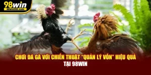 Chơi Đá Gà Với Chiến Thuật Quản Lý Vốn Hiệu Quả Tại 98win