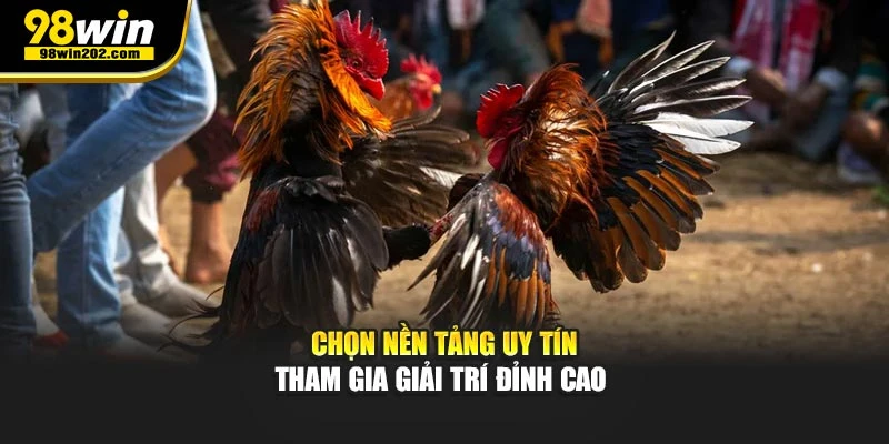 Chọn nền tảng uy tín tham gia giải trí đỉnh cao