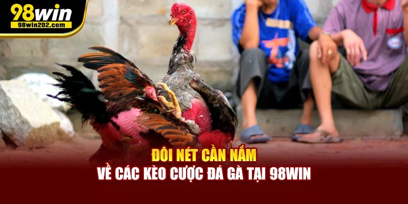 Đôi nét cần nắm về các kèo cược đá gà
