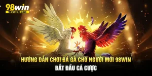 Hướng Dẫn Chơi Đá Gà Cho Người Mới 98Win - Bắt Đầu Cá Cược