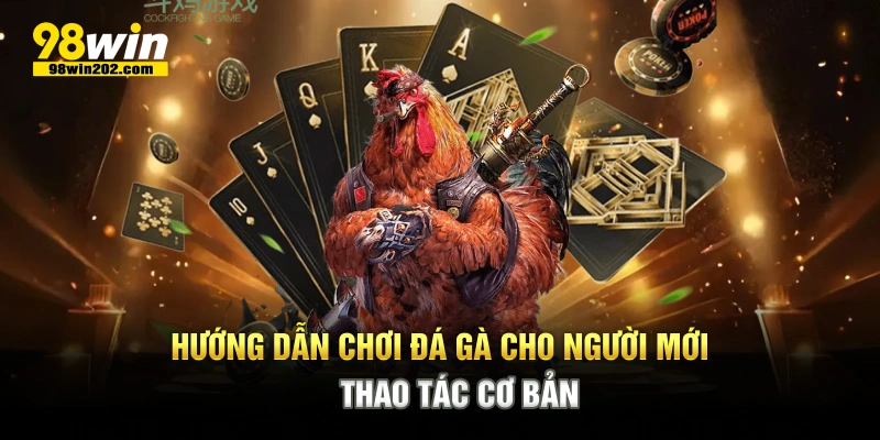 Hướng dẫn chơi đá gà cho người mới thao tác cơ bản