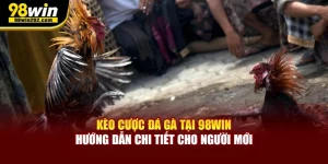 kèo cược đá gà