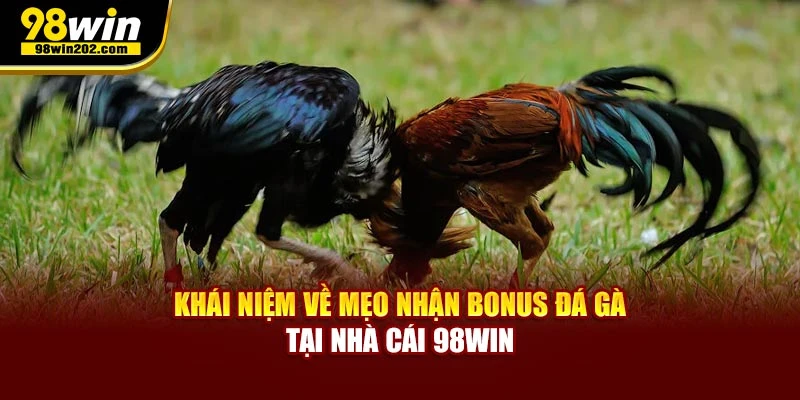 Khái niệm về mẹo nhận bonus đá gà tại nhà cái