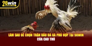 Làm Sao Để Chọn Trận Đấu Đá Gà Phù Hợp Tại 98win Của Cao Thủ