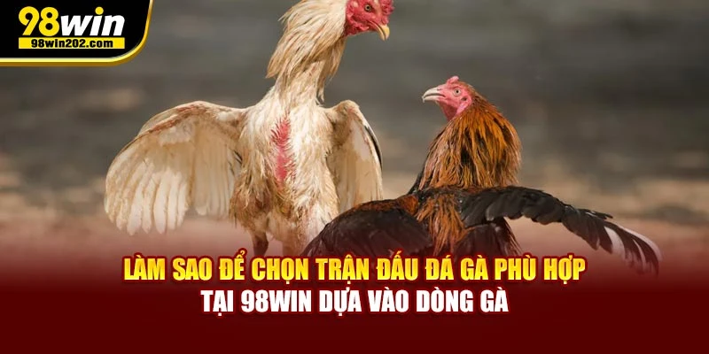 Làm sao để chọn trận đấu đá gà phù hợp tại 98win dựa vào dòng gà