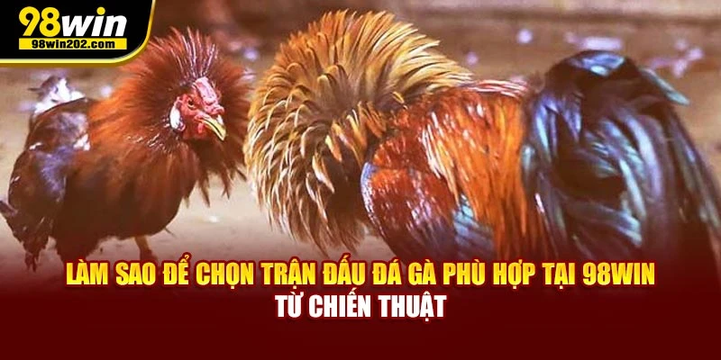 Làm sao để chọn trận đấu đá gà phù hợp tại 98win từ chiến thuật