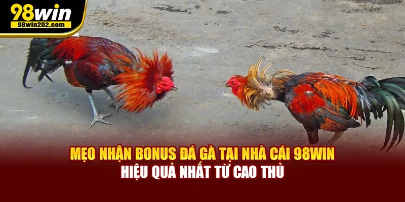 Mẹo nhận bonus đá gà tại nhà cái hiệu quả nhất từ cao thủ