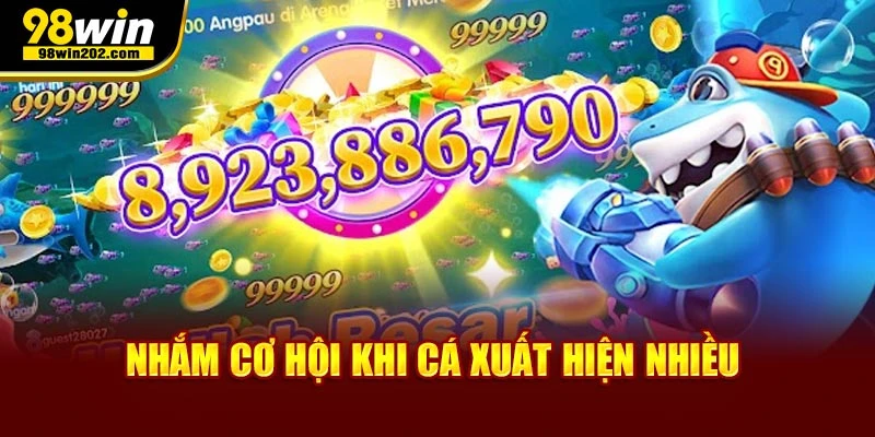 Nhắm cơ hội khi cá xuất hiện nhiều