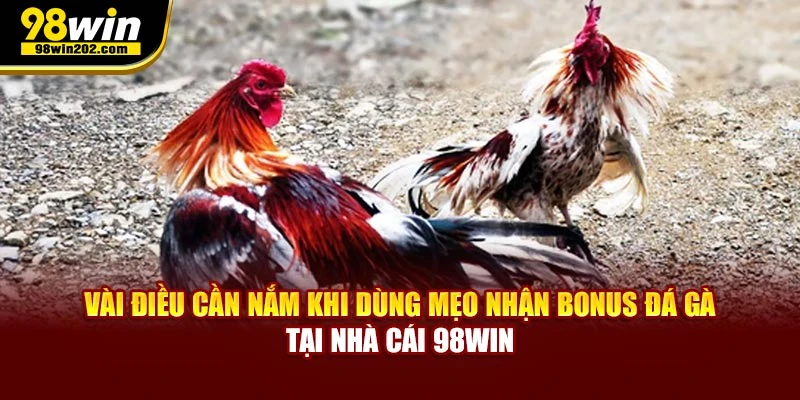 Vài điều cần nắm khi dùng mẹo nhận bonus đá gà tại nhà cái
