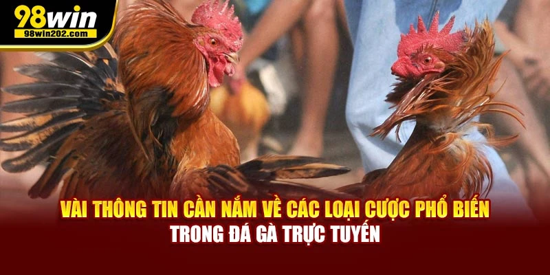 Vài thông tin cần nắm về các loại cược phổ biến trong đá gà trực tuyến