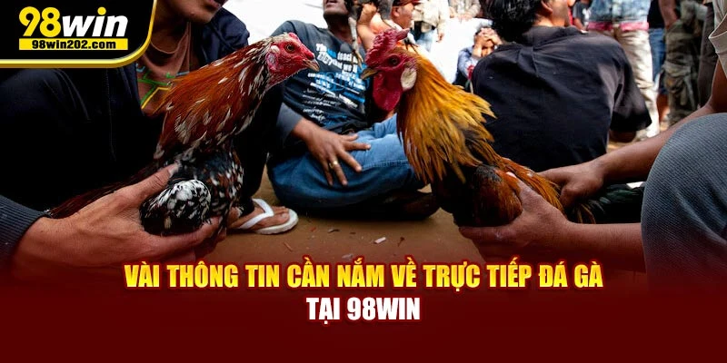 Vài thông tin cần nắm về việc xem trực tiếp đá gà